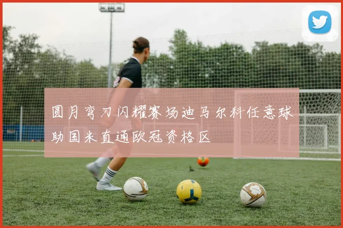 圆月弯刀闪耀赛场迪马尔科任意球助国米直通欧冠资格区